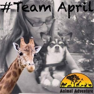 Meet your Posher, Lynne